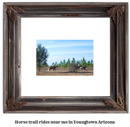 horse trail rides near me in Youngtown, Arizona